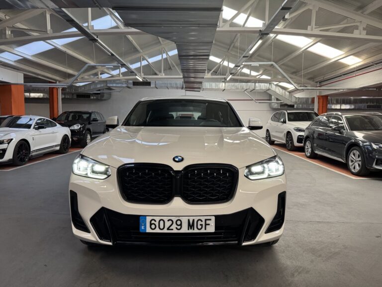 BMW X4 xDrive20d M Sport, foto 02